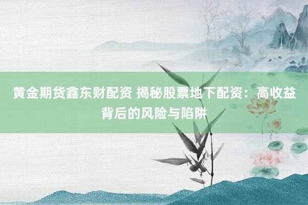 黄金期货鑫东财配资 揭秘股票地下配资：高收益背后的风险与陷阱