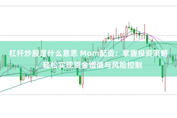杠杆炒股是什么意思 Mom配资：掌握投资策略，轻松实现资金增值与风险控制
