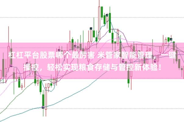 杠杠平台股票哪个最厉害 米管家智能管理，一键操控，轻松实现粮食存储与管控新体验！