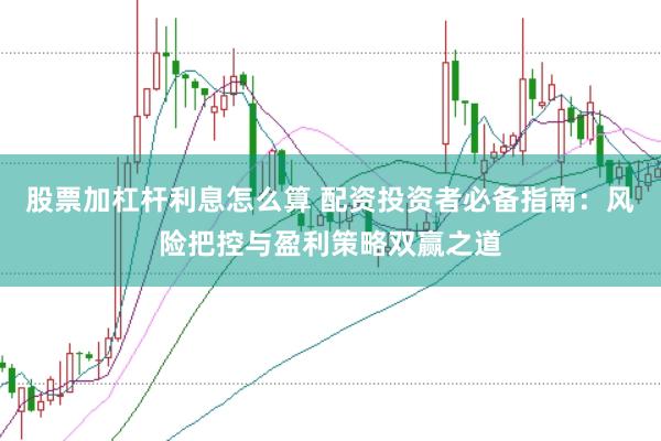 股票加杠杆利息怎么算 配资投资者必备指南：风险把控与盈利策略双赢之道