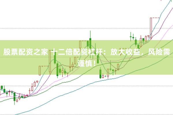 股票配资之家 十二倍配资杠杆：放大收益，风险需谨慎！