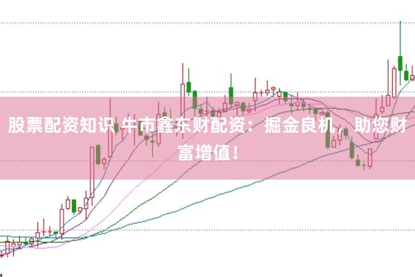 股票配资知识 牛市鑫东财配资：掘金良机，助您财富增值！