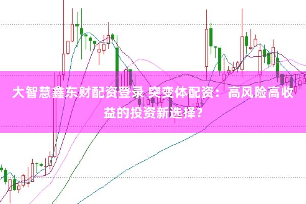 大智慧鑫东财配资登录 突变体配资：高风险高收益的投资新选择？