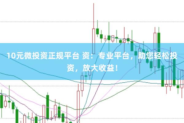 10元微投资正规平台 资：专业平台，助您轻松投资，放大收益！