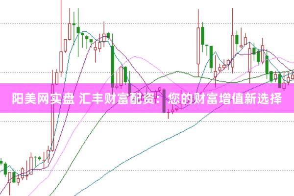 阳美网实盘 汇丰财富配资：您的财富增值新选择