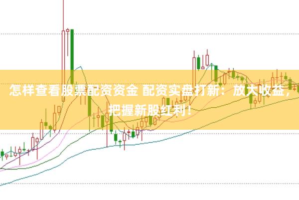 怎样查看股票配资资金 配资实盘打新：放大收益，把握新股红利！