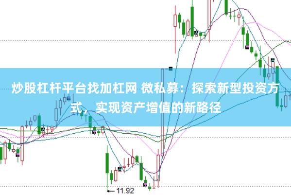 炒股杠杆平台找加杠网 微私募：探索新型投资方式，实现资产增值的新路径