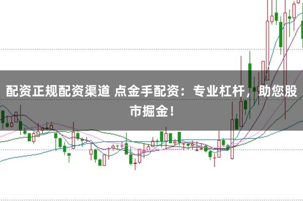 配资正规配资渠道 点金手配资：专业杠杆，助您股市掘金！