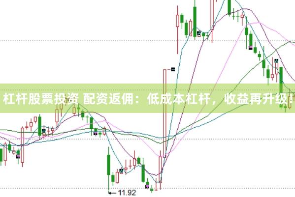 杠杆股票投资 配资返佣：低成本杠杆，收益再升级！