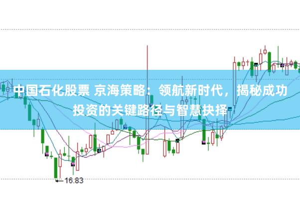 中国石化股票 京海策略：领航新时代，揭秘成功投资的关键路径与智慧抉择