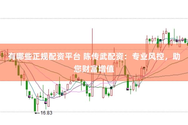 有哪些正规配资平台 陈传武配资：专业风控，助您财富增值