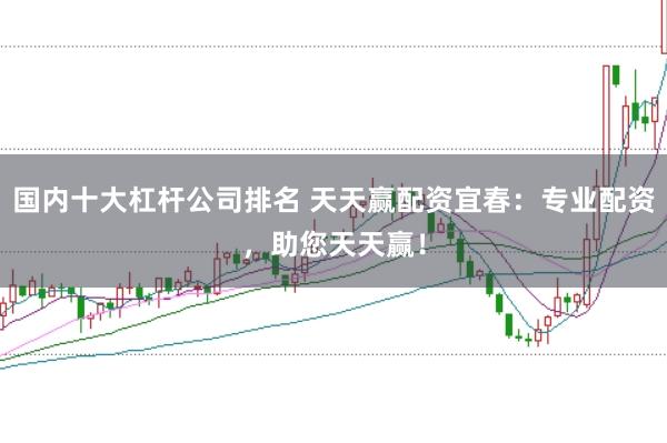 国内十大杠杆公司排名 天天赢配资宜春：专业配资，助您天天赢！