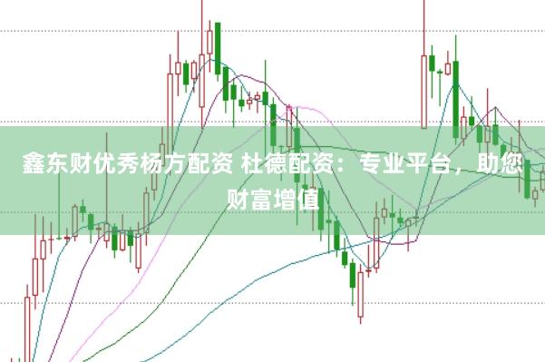 鑫东财优秀杨方配资 杜德配资：专业平台，助您财富增值