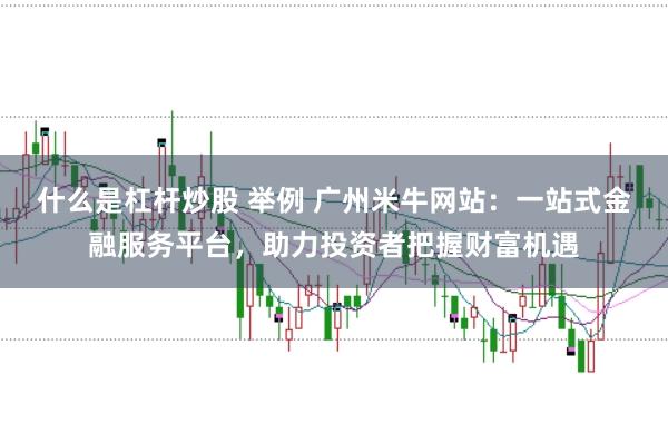 什么是杠杆炒股 举例 广州米牛网站:一站式金融服务平台,助力投资者把握财富机遇