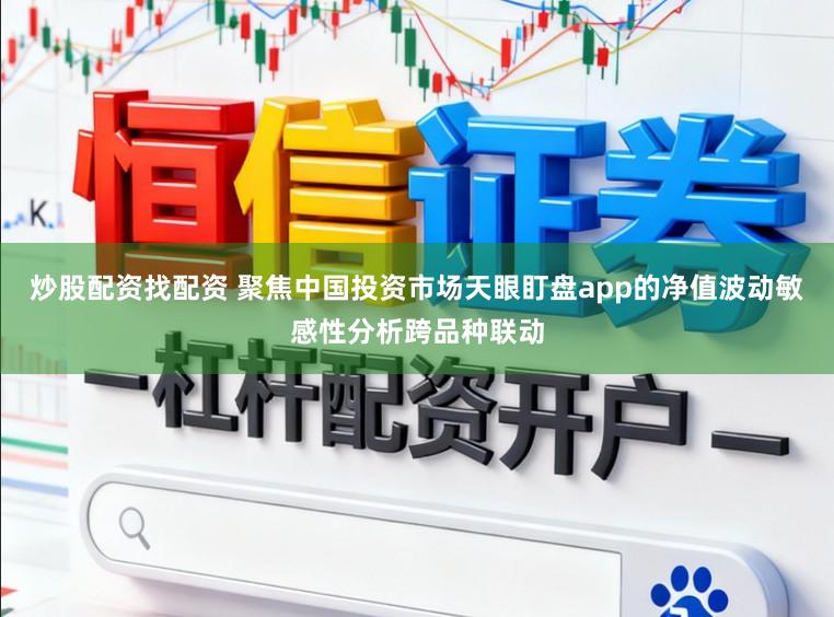炒股配资找配资 聚焦中国投资市场天眼盯盘app的净值波动敏感性分析跨品种联动