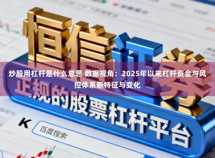 炒股用杠杆是什么意思 数据视角：2025年以来杠杆资金与风控体系新特征与变化