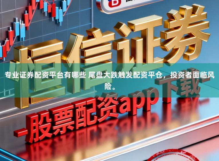 专业证券配资平台有哪些 尾盘大跌触发配资平仓，投资者面临风险。