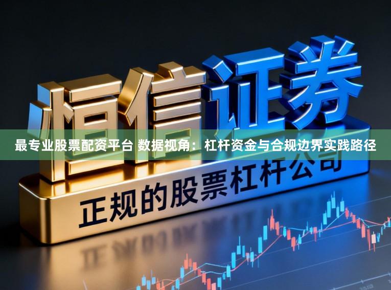 最专业股票配资平台 数据视角：杠杆资金与合规边界实践路径